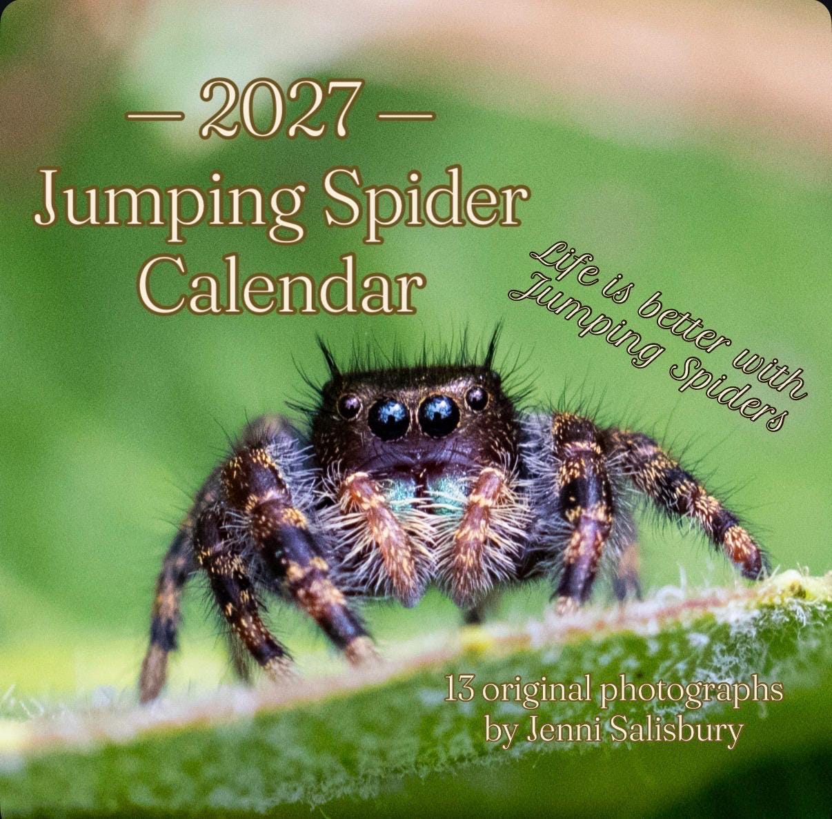 Cover of the 2027 Jumping Spider Calendar, a fuzzy jumping spider on a green leaf.