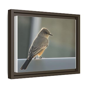 A Quiet Moment | Original Bird Photography image 18