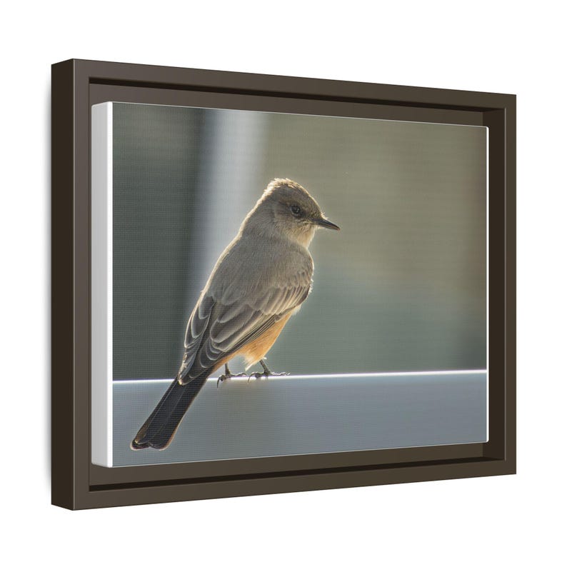 A Quiet Moment | Original Bird Photography image 18