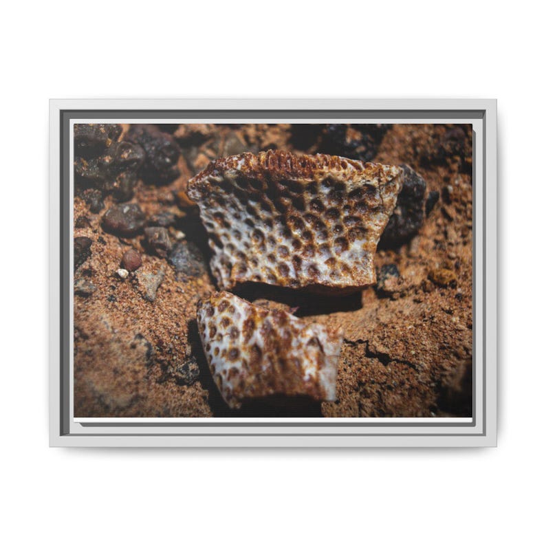 Ancient Armor | Fossil Photography Canvas Print | Prehistoric Natural History Wall Art image 4