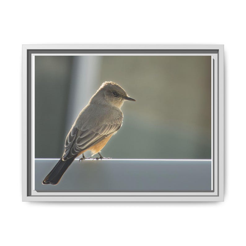 A Quiet Moment | Original Bird Photography image 5