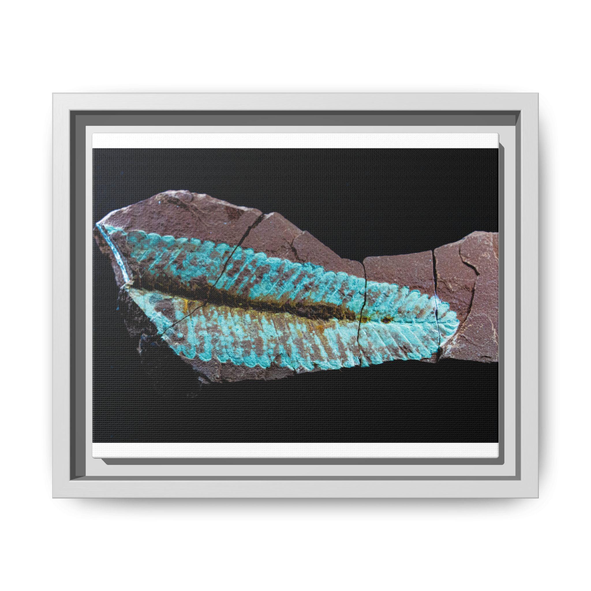 A fossil specimen with vivid turquoise detail set into dark brown rock.