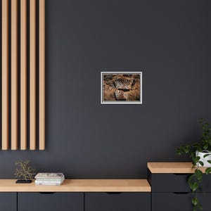 Ancient Armor | Fossil Photography Canvas Print | Prehistoric Natural History Wall Art image 8