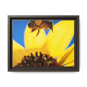 The Pollinator’s Dance | Original Bee Photography image 17