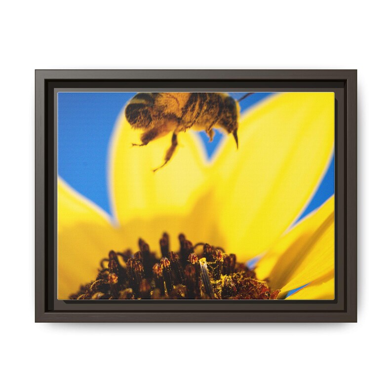 The Pollinator’s Dance | Original Bee Photography image 17