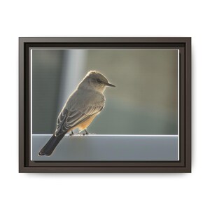 A Quiet Moment | Original Bird Photography image 17