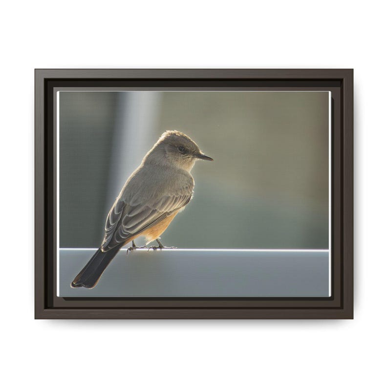 A Quiet Moment | Original Bird Photography image 17