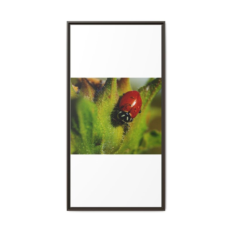 Among the Green | Original Lady Beetle Photography imagen 13