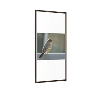 A Quiet Moment | Original Bird Photography image 14