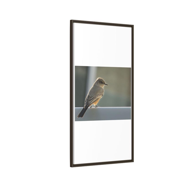 A Quiet Moment | Original Bird Photography image 14