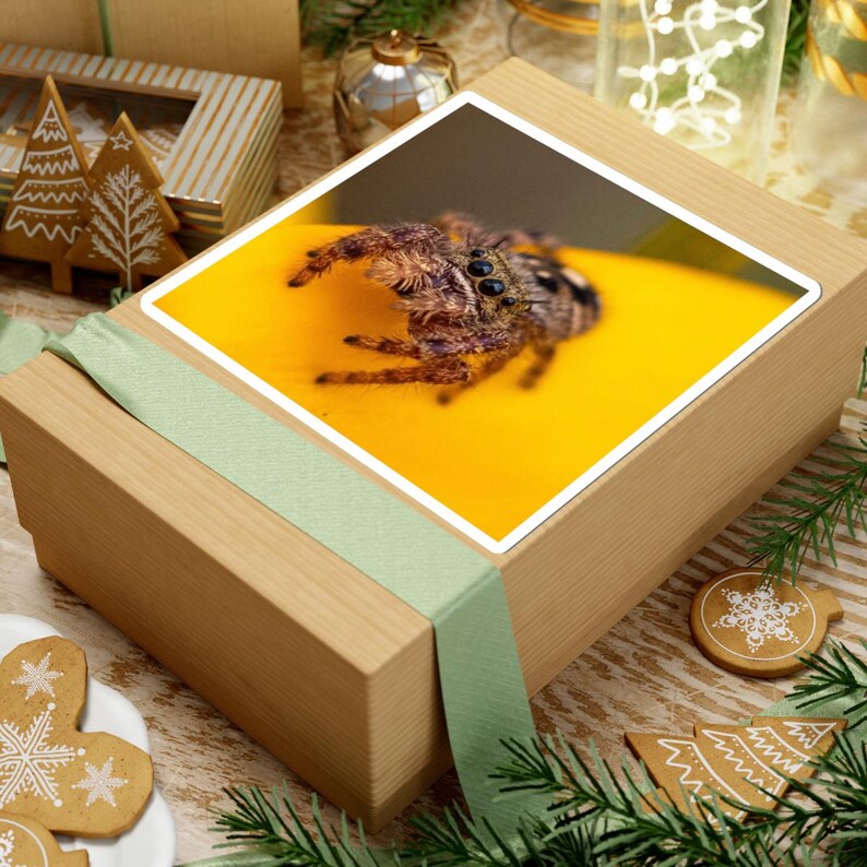 Golden Curiosity | Original Jumping Spider Photography Sticker 画像 9