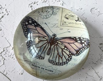 Butterfly Desk Paperweight from World Market