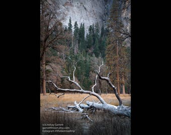 Landscape Photograph - Yosemite Valley - California - Color Fine Art Photograph - Wall Art Color Art Print