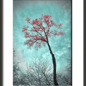 Teal and Red Art Landscape Tree Photograph, Forest Teal Home Decor Wall Art Color Art Print image 3