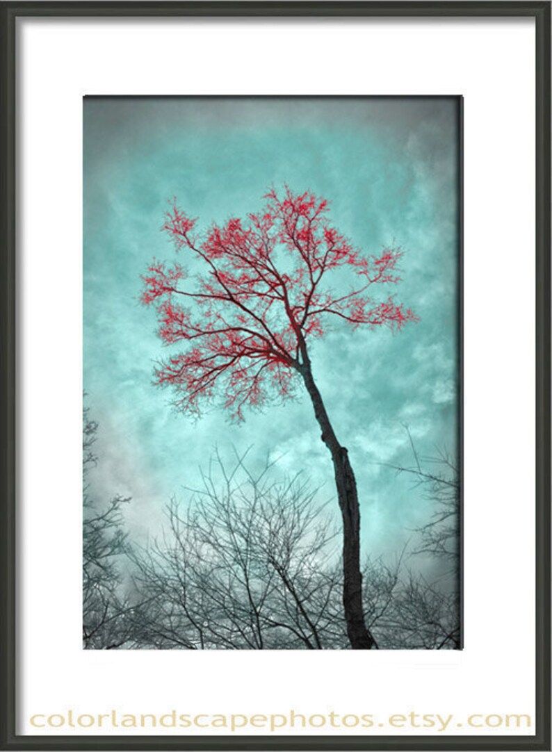 Teal and Red Art Landscape Tree Photograph, Forest Teal Home Decor Wall Art Color Art Print image 3