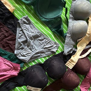 May include: A collection of assorted undergarments including several pairs of briefs in pink, dark green, brown, and gray, alongside multiple bras in shades of beige, gray, black, dark brown, and pink, featuring various textures and patterns.