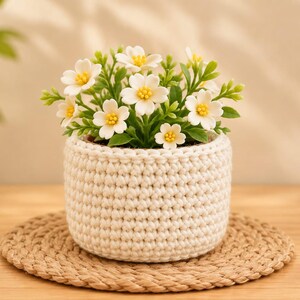 May include: A small potted plant featuring white flowers with yellow centres and green leaves, housed in a cream-coloured crocheted pot cover with a textured stitch pattern. The plant is displayed on a round, woven, light brown circular mat.