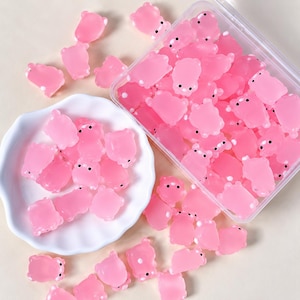 May include: A collection of small, translucent pink bear-shaped charms with two black dots for eyes. The charms are scattered around a white scalloped dish and contained within a clear rectangular plastic storage box with a hinged lid.