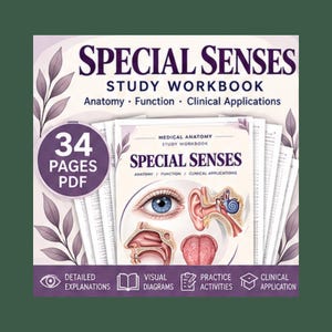 Może przedstawiać: 34-stronicowy zeszyt ćwiczeń w formacie PDF zatytułowany Special Senses: Anatomy, Function, Clinical Applications. Okładka zawiera ilustracje anatomiczne oka, ucha, nosa i języka oraz ikony przedstawiające szczegółowe wyjaśnienia i diagramy.