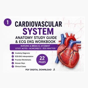 Lernleitfaden zur Anatomie des Herz-Kreislauf-Systems (PDF), EKG-Interpretation, Pflegehinweise, Arbeitsblätter für Medizinstudierende (digitaler Download)