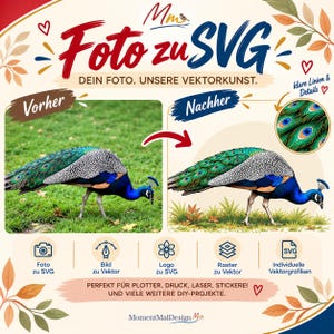 Könnte beinhalten: Eine digitale Grafik zeigt die Umwandlung eines Pfaus von einem Foto in eine Vektorgrafik. Der Text umfasst Foto zu SVG, Vorher, Nachher sowie Symbole für Dienstleistungen zur Umwandlung von Fotos in Vektoren.