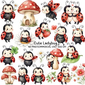 Puede incluir: Una colección de ilustraciones en acuarela con mariquitas, setas con puntos rojos, margaritas, fresas y una regadera. El texto dice Cute Ladybug 40 PNG/COMMERCIAL USE/ 300 DPI. Las mariquitas se muestran en diversas posturas y situaciones.
