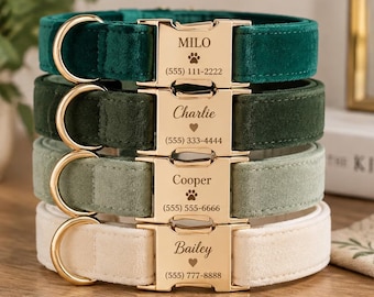 May include: Four velvet pet collars in shades of dark green, olive, sage, and cream. Each features a gold-tone metal buckle engraved with a name, a paw print or heart icon, and a phone number: MILO (555) 111-2222, Charlie (555) 333-4444, Cooper (555) 555-6666, and Bailey (555) 777-8888.