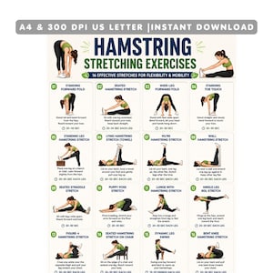 Può includere: Un poster digitale intitolato Hamstring Stretching Exercises che presenta sedici illustrazioni numerate di vari esercizi di stretching. Il grafico include istruzioni testuali per ogni movimento, specificando durate di 20-30 secondi, in formato A4 e US Letter.