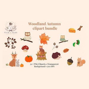 Woodland Autumn Clipart Bundle, 30+ Transparent PNGs at 300 DPI