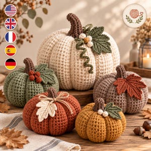 Può includere: Una collezione di cinque zucche all'uncinetto di varie dimensioni e colori, tra cui crema, verde salvia, arancione bruciato, giallo senape e marrone. Ogni zucca presenta un gambo marrone scuro, foglie all'uncinetto e piccole bacche o viticci.