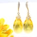 see more listings in the DANGLE EARRINGS section
