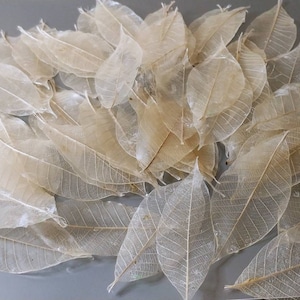 Soap leaves, Natural Biodegradable Soap Leaves, Hand Soap, Travel Size, Keepsake Gifts