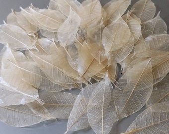 Soap Leaves Party Favors | Biodegradable Skeleton Leaf Wedding Bridal Shower Gift (Set of 10)