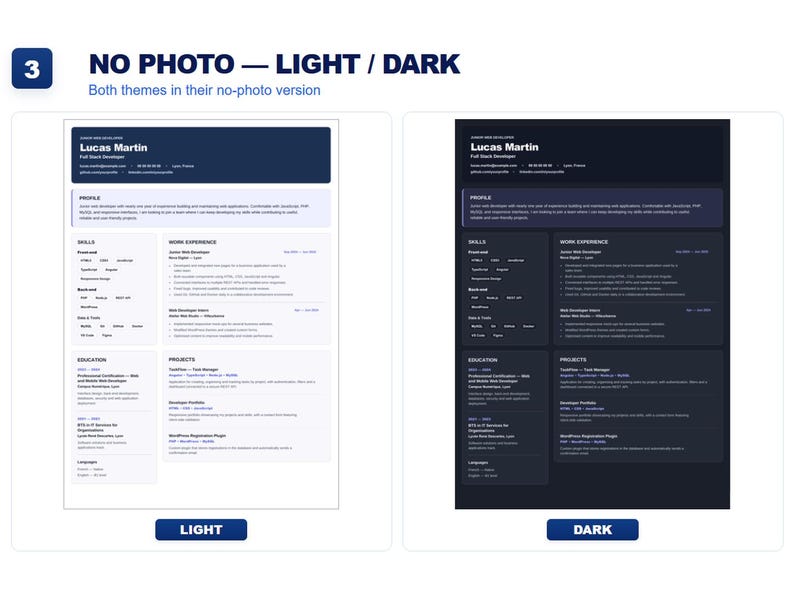May include: A resume template for a full stack developer named Lucas Martin, presented in two versions: a light theme with dark text on a white background and a dark theme with light text on a dark background, both featuring sections for profile, skills, work experience, education, and projects.
