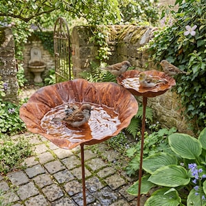May include: Two rust-coloured metal bird baths shaped like large, open flower petals, each mounted on a thin, dark metal stake. The basins are filled with water, and small brown birds are perched inside the bowls, bathing in the water.