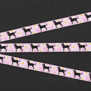 ANIMALS/Dogs B-07-A Jacquard Ribbon Poly Trim 1/2&quot; wide (13mm) White Daisies on Pink w/Black Labradors wearing Red Collars