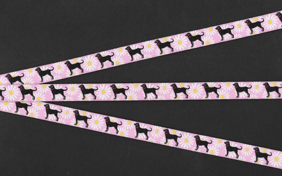 ANIMALS/Dogs B-07-A Jacquard Ribbon Poly Trim 1/2" wide (13mm) White Daisies on Pink w/Black Labradors wearing Red Collars