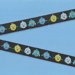 ANIMAIS/Pássaros C-02-B Fita Jacquard Poliéster 5/8" de largura (16 mm) Preto com Corujas Turquesa, Azul-petróleo, Azul e Verde-limão, Detalhes em Amarelo