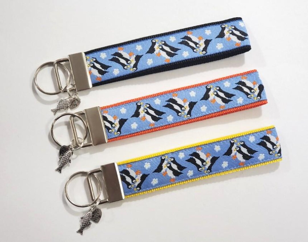 Jacquard Ribbon/nylon Web 1