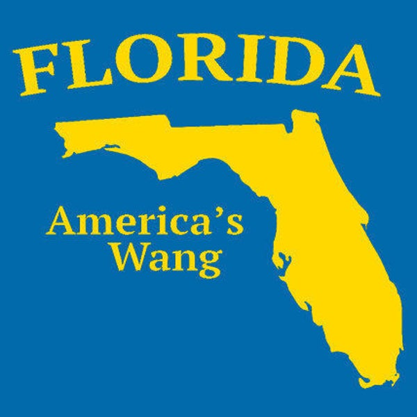 FUNNY TSHIRT Florida Americas Wang T-shirt Cool Surfer Skater Punk Mens Womens Kids Tee Shirt (also available on crewnecks and hoodie SM-5XL