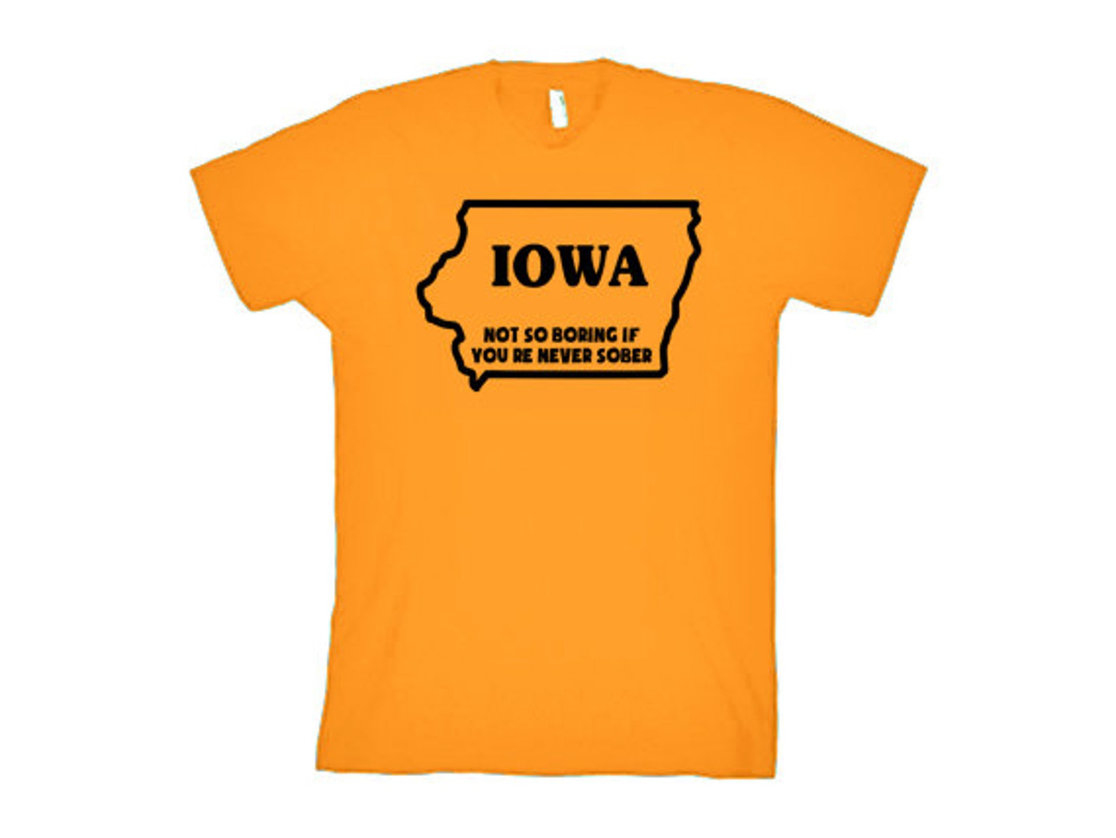 FUNNY IOWA Tshirt Iowa Not so Boring If You're Never Sober Etsy