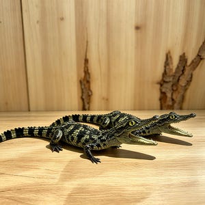 Könnte beinhalten: Zwei kleine Krokodilfiguren mit einer schwarz-hellgrün gemusterten Hautstruktur. Jedes Krokodil ist in kriechender Position mit geöffnetem Maul dargestellt, wobei kleine Zähne und leuchtend gelbe Augen sowie detaillierte Schuppen sichtbar sind.