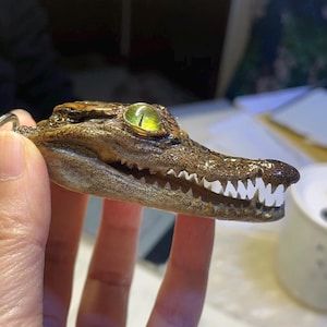 May include: A brown, textured alligator head keyring featuring a prominent, glossy, bright green eye with a vertical pupil. The snout is elongated with visible, sharp, white, triangular teeth along the jawline and a metallic ring attachment.