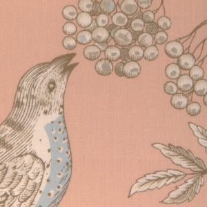 BRUNSCHWIG & FILS Birds And Thistle II Cotton Fabric 10 Yards Peach