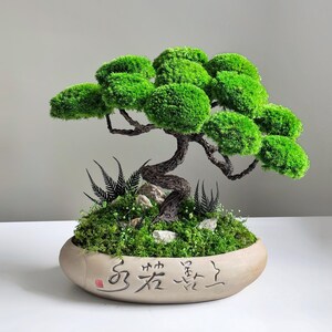 Albero in ceramica, bonsai giapponese a cura zero, composizione di fogliame in muschio conservato - Scrivania 12,2×12,6