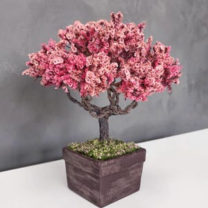 Bonsai di fiori di pesco, alberello da tavolo in muschio stabilizzato / vaso in ceramica marrone scuro, tronco in filo metallico fatto a mano, altezza 22 cm.