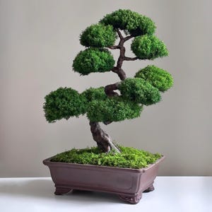 Grote geconserveerde mos, Japanse Zen bonsai sculptuur | Draadframe | Keramische pot, 56 cm hoog, bureauaccessoire