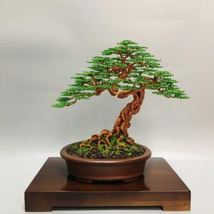 Regalo per la festa del papà, bonsai minimalista in filo di rame / vaso in ceramica smaltata, muschio verde, piccolo medio grande