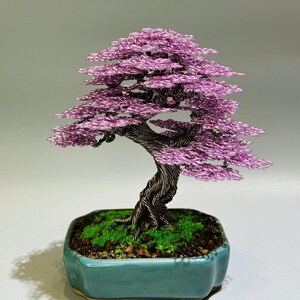 Fiore di ciliegio rosa, bonsai Sakura in filo Moyogi / Vaso in ceramica smaltata celadon, bordo dorato / Altezza 23 cm