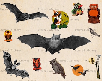 Vintage Halloween Images - Bats, Owls and Crows - Set 1 - 12 Clipart/Digital Images - Instant download